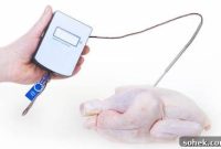 Calibrate a Meat Thermometer with Ice Bath and Boil Tests