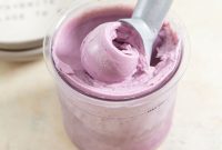 Homemade Blueberry Frozen Yogurt Recipe for Ninja Creami