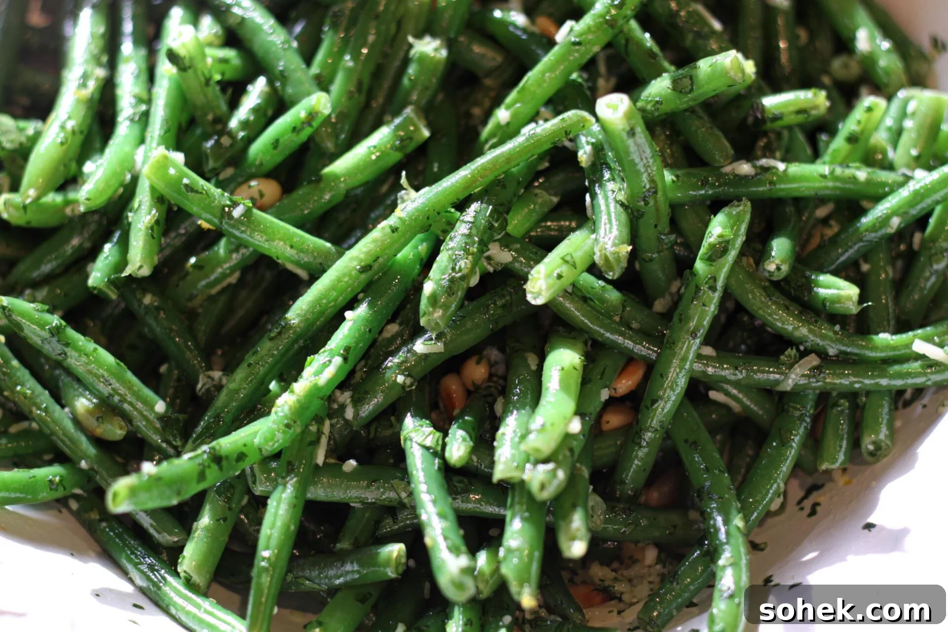 featured 5263