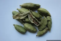Cardamom in Jerusalem: Tasting Tour, March 2014