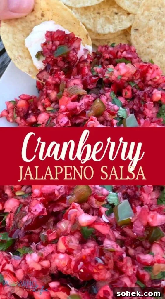 Zesty Cranberry Jalapeño Salsa Recipe for Holiday Parties 5 collage of chopped cranberry and jalapeno salsa recipe on chip with cream cheese