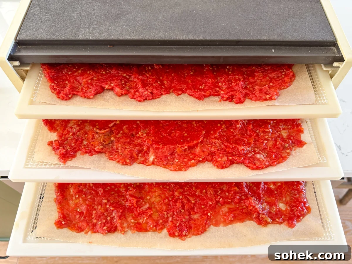 Canned Pizza Sauce from Fresh or Frozen Tomatoes — Simple Recipe 6 tomato pulp on dehydrator trays
