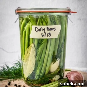 Sealed and labeled jar of dilly beans on a board with dill, peppercorns, mustard seeds, beans and garlic around the base.