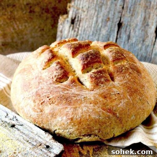 Farmer-Style German Bauernbrot: Rustic Traditional Rye Bread Recipe 6 A round loaf of German bread