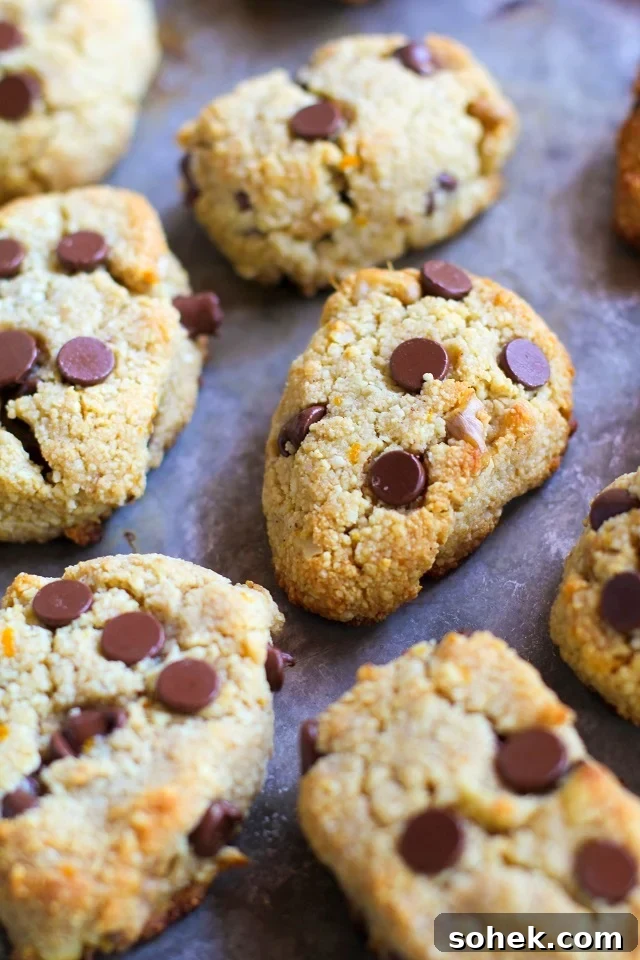 Grain-Free Chocolate Chip Orange Ginger Scones made with almond flour and sweetened with pure maple syrup