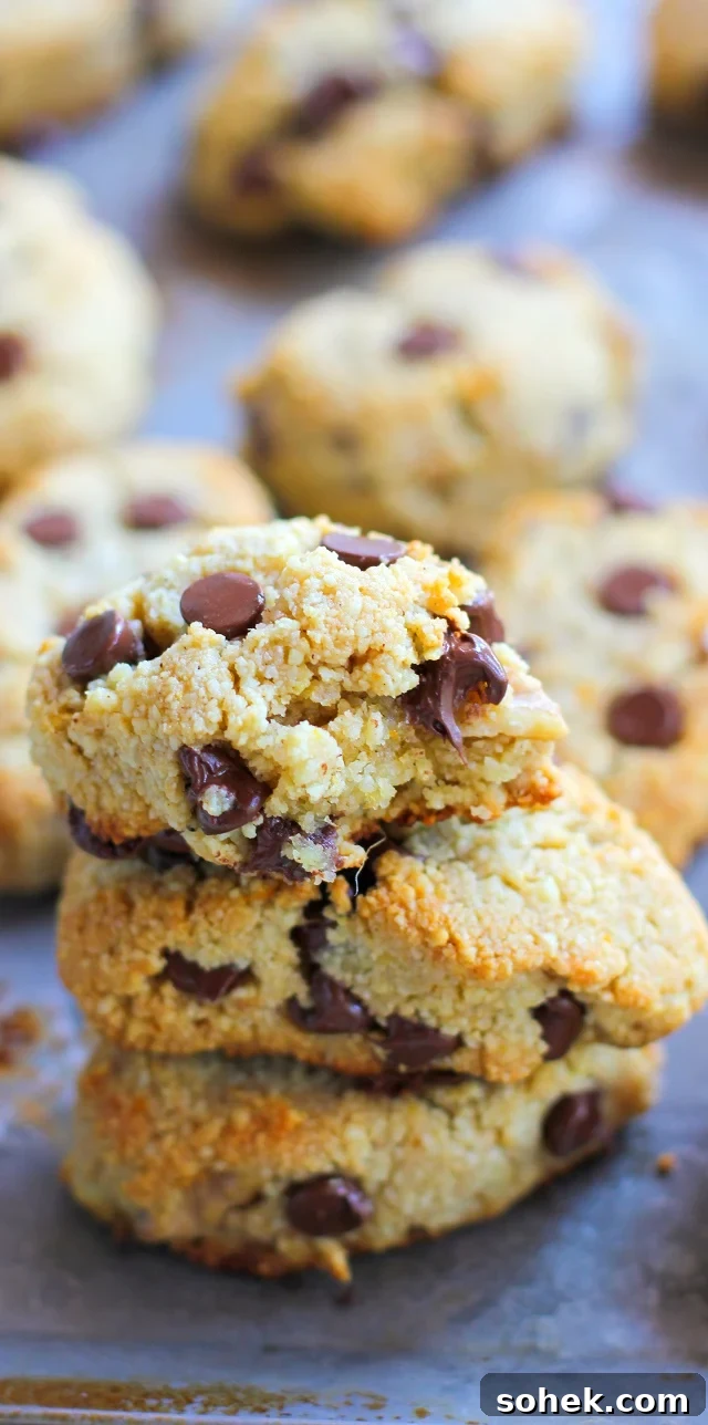 Grain-Free Chocolate Chip Orange Ginger Scones made with almond flour and sweetened with pure maple syrup