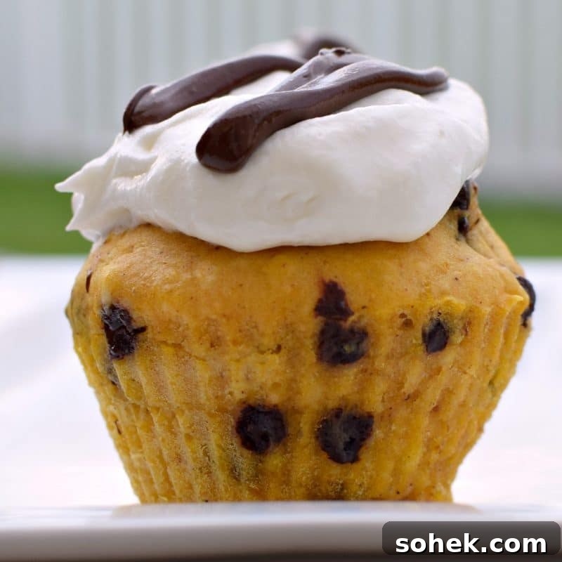 Mini Zucchini Muffins (Gluten-Free Recipe) 6 low calorie pumpkin chocolate muffin