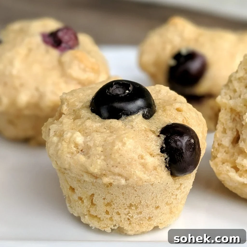 Mini Zucchini Muffins (Gluten-Free Recipe) 8 Kodiak mini muffins with blueberries