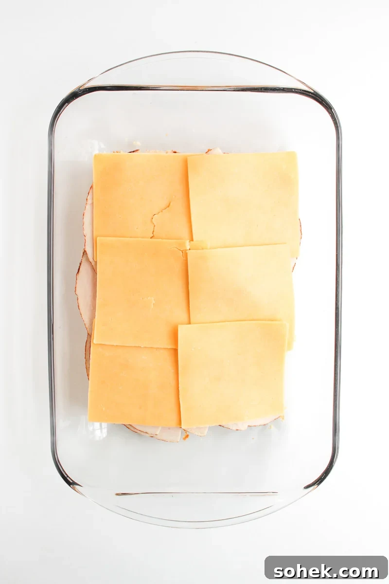 Gouda is placed on top of the turkey layer.