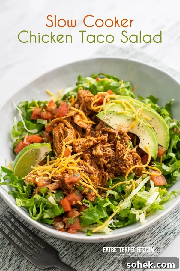 Slow Cooker Mexican Chicken Recipe | EatBetterRecipes.com Slow Cooker Mexican Chicken in a bowl