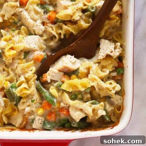 Creamy Cheddar Chicken Noodle Casserole Recipe 4 creamy chicken noodle casserole
