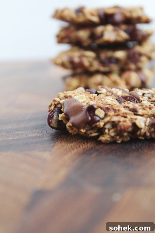 Vegan Gluten-Free Cowboy Cookies — Chewy Oat & Chocolate Chip 3 Healthy Cowboy Cookies Recipe (Vegan, Gluten-Free) -- A healthy dessert made with only 9 ingredients, with no added oils, sugars, flours, or eggs! | @sinfulnutrition | #sinfulnutrition | #healthycookies | #nosugarcookies | #healthycookierecipe