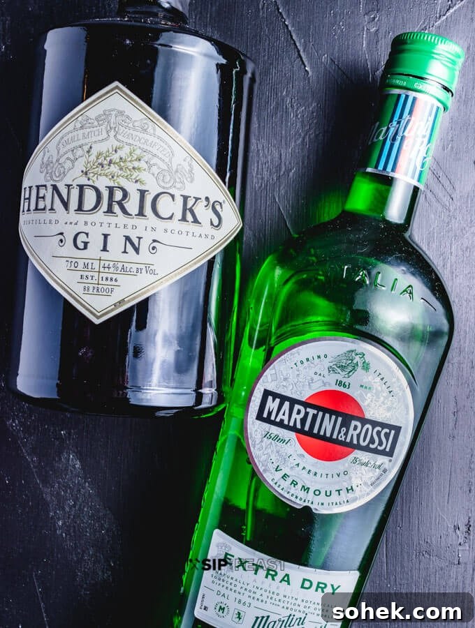Hendrick's Gin and Martini & Rossi extra dry vermouth.