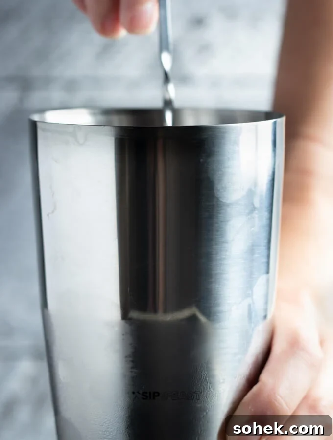 Stirring all the martini ingredients in the shaker.