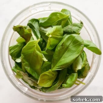 Creamy Vegan Basil Pesto Recipe for Pasta, Sandwiches & Dips 16 img 11501 15