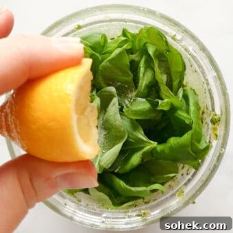 Creamy Vegan Basil Pesto Recipe for Pasta, Sandwiches & Dips 17 img 11501 16