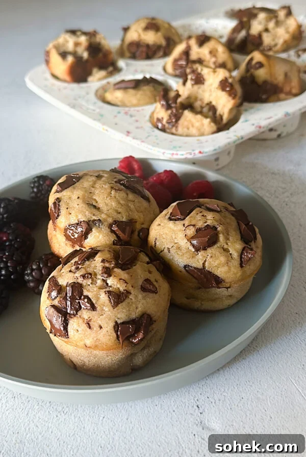 Chocolate chunk banana muffins served with berries.