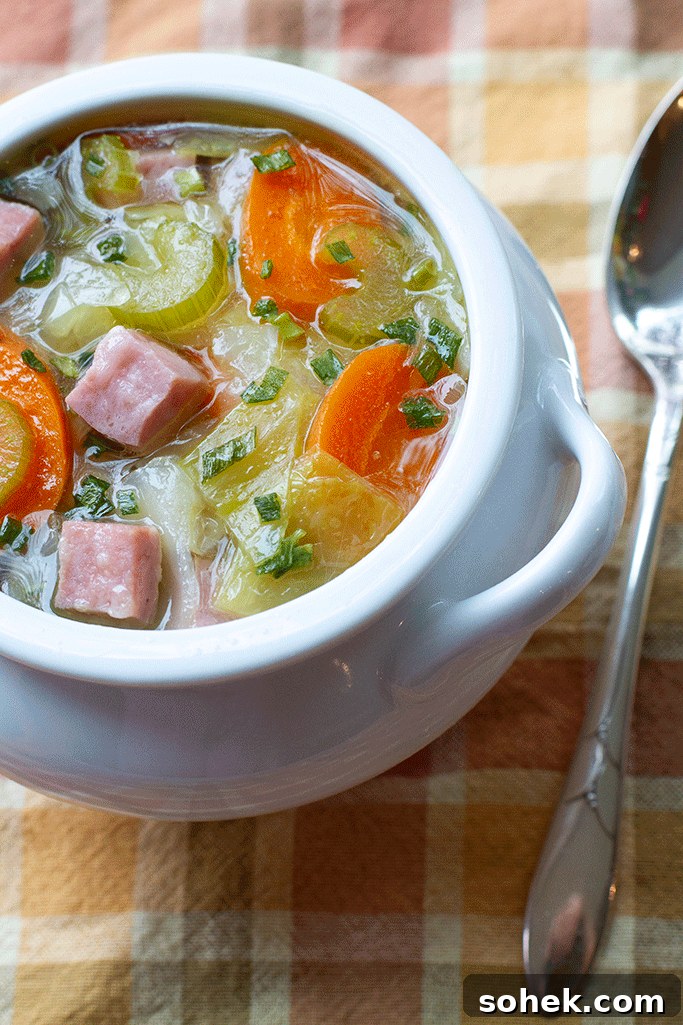 Ham and Cabbage Soup