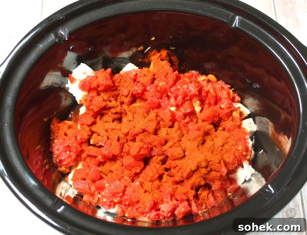 Slow-Cooker Bacon and Sausage Dip Recipe for Parties 5 Crockpot Sausage Bacon Dip4