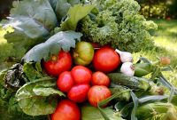 Kickstart Your New Year with a Sustainable Wellness Routine