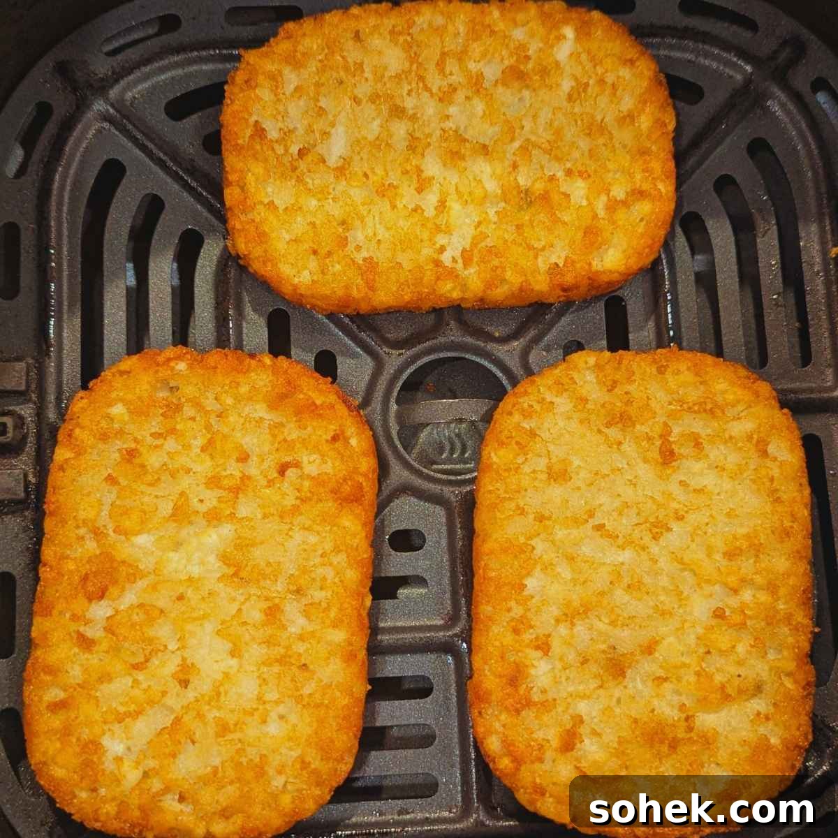 Crispy Air Fryer Hash Brown Patties Recipe 6 Hash brown patties in air fryer basket