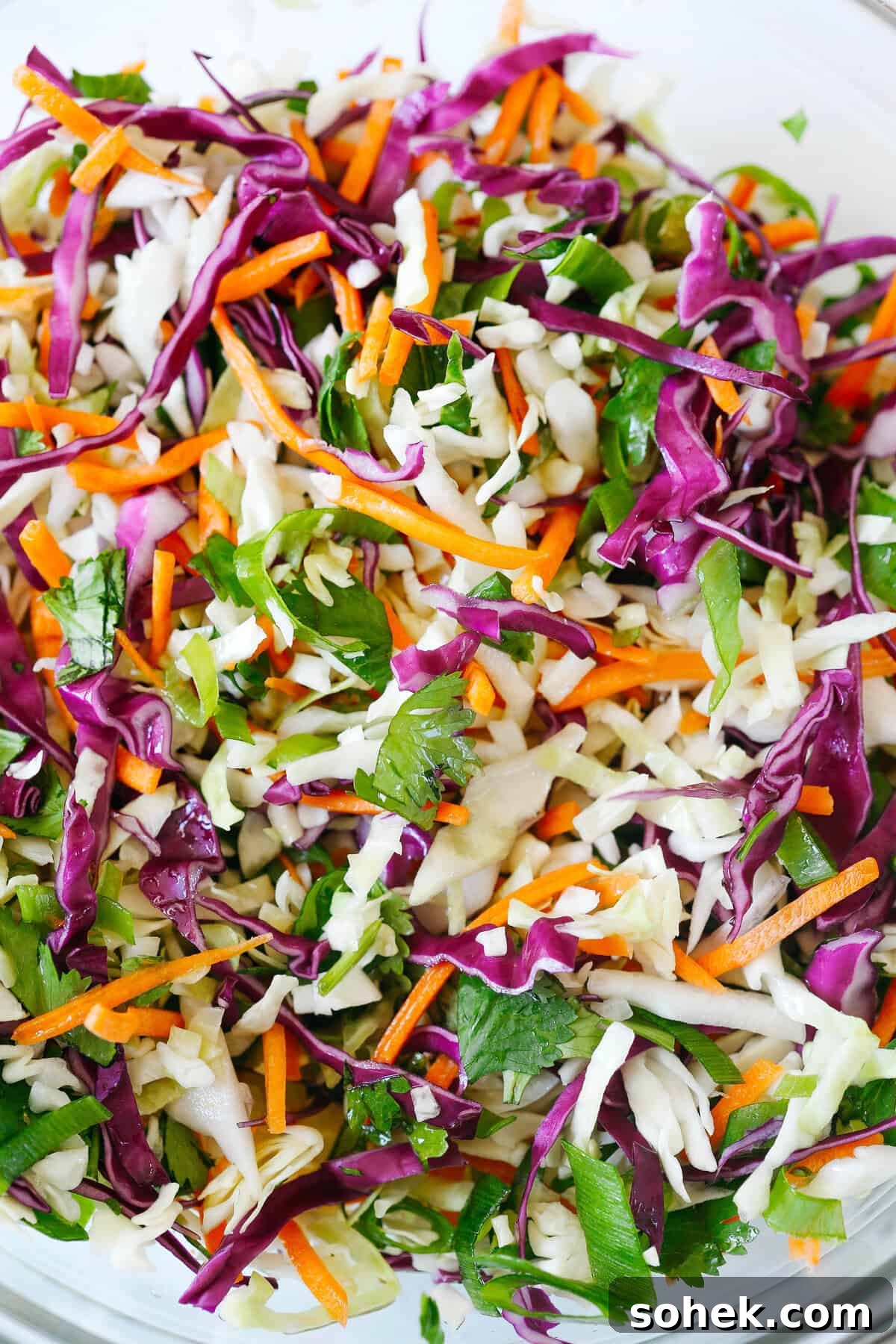 Cilantro Lime Chicken Tacos with tangy coleslaw and avocado crema
