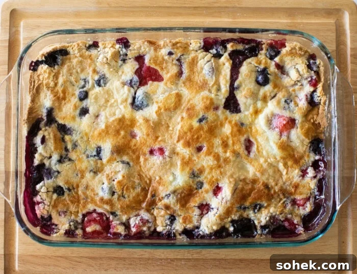 Viral Berry Dump Cake Recipe: Quick No-Fuss Dessert PMID 11 A rectangular glass baking dish holds a golden-brown cobbler with visible berries, likely blueberries and strawberries, peeking through the crust. The dish is placed on a wooden surface.