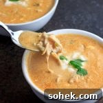 Instant Pot Chicken Salsa Queso Soup