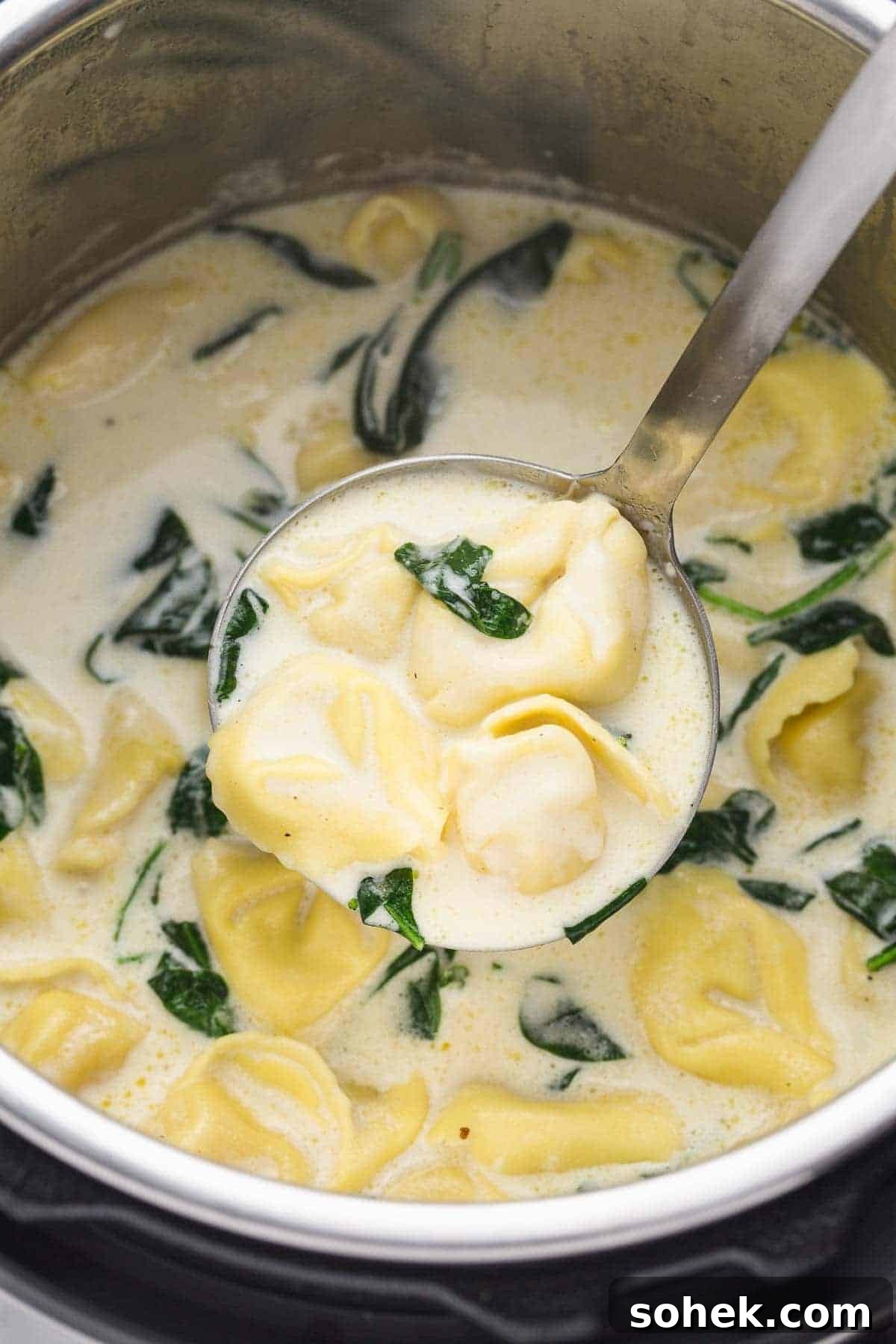 10 Flavorful Instant Pot Pasta Recipes for Quick Dinners 11 A ladle with chicken alfredo tortellini soup and spinach