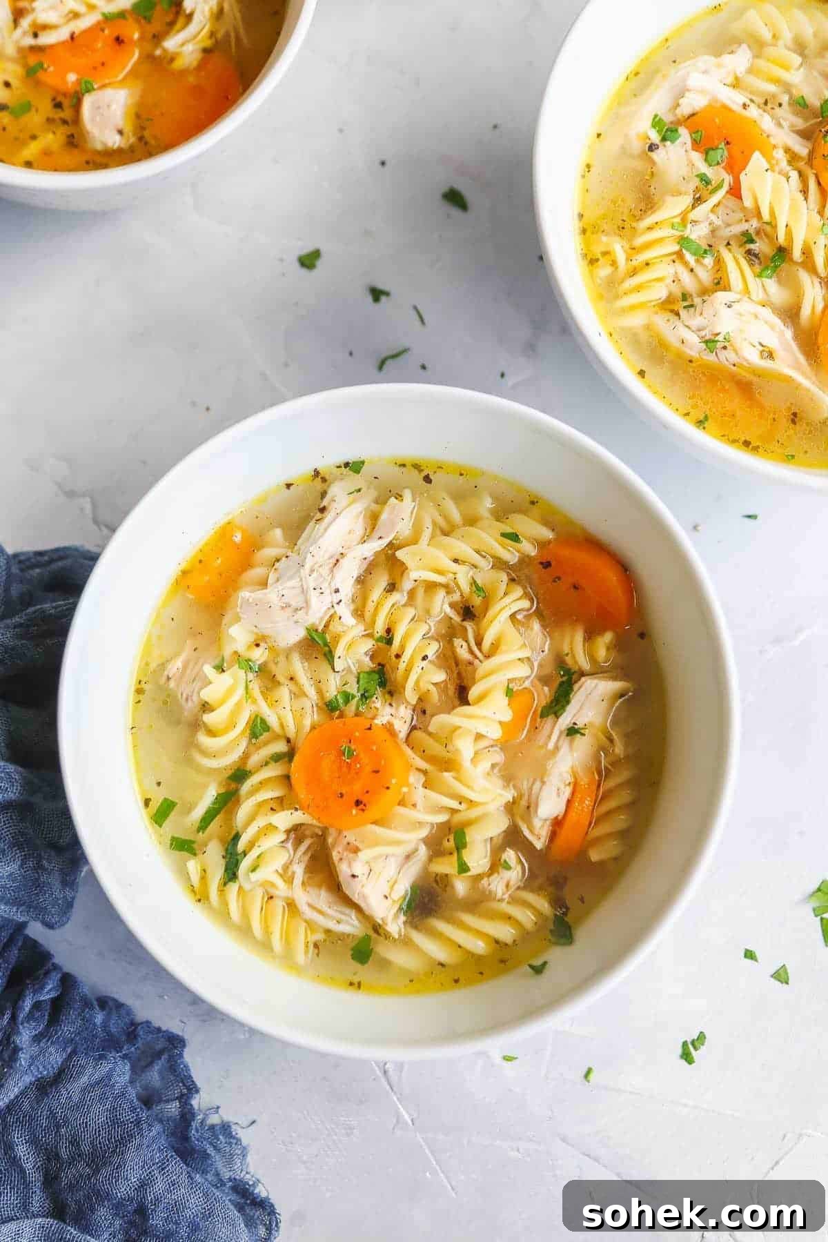 10 Flavorful Instant Pot Pasta Recipes for Quick Dinners 12 Instant Pot Chicken noodle Soup
