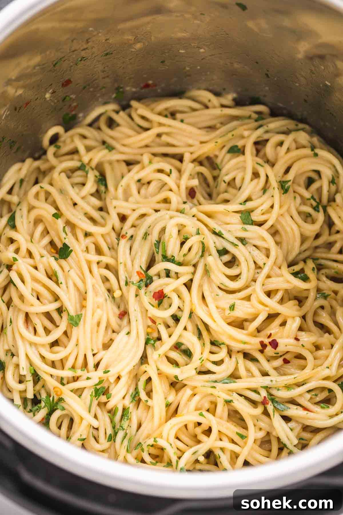 10 Flavorful Instant Pot Pasta Recipes for Quick Dinners 3 Instant Pot Noodles