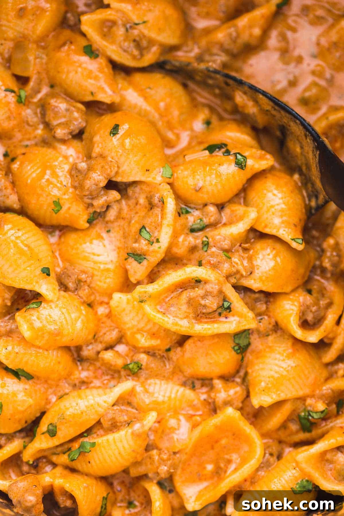 10 Flavorful Instant Pot Pasta Recipes for Quick Dinners 6 Taco pasta shells with a black serving spoon