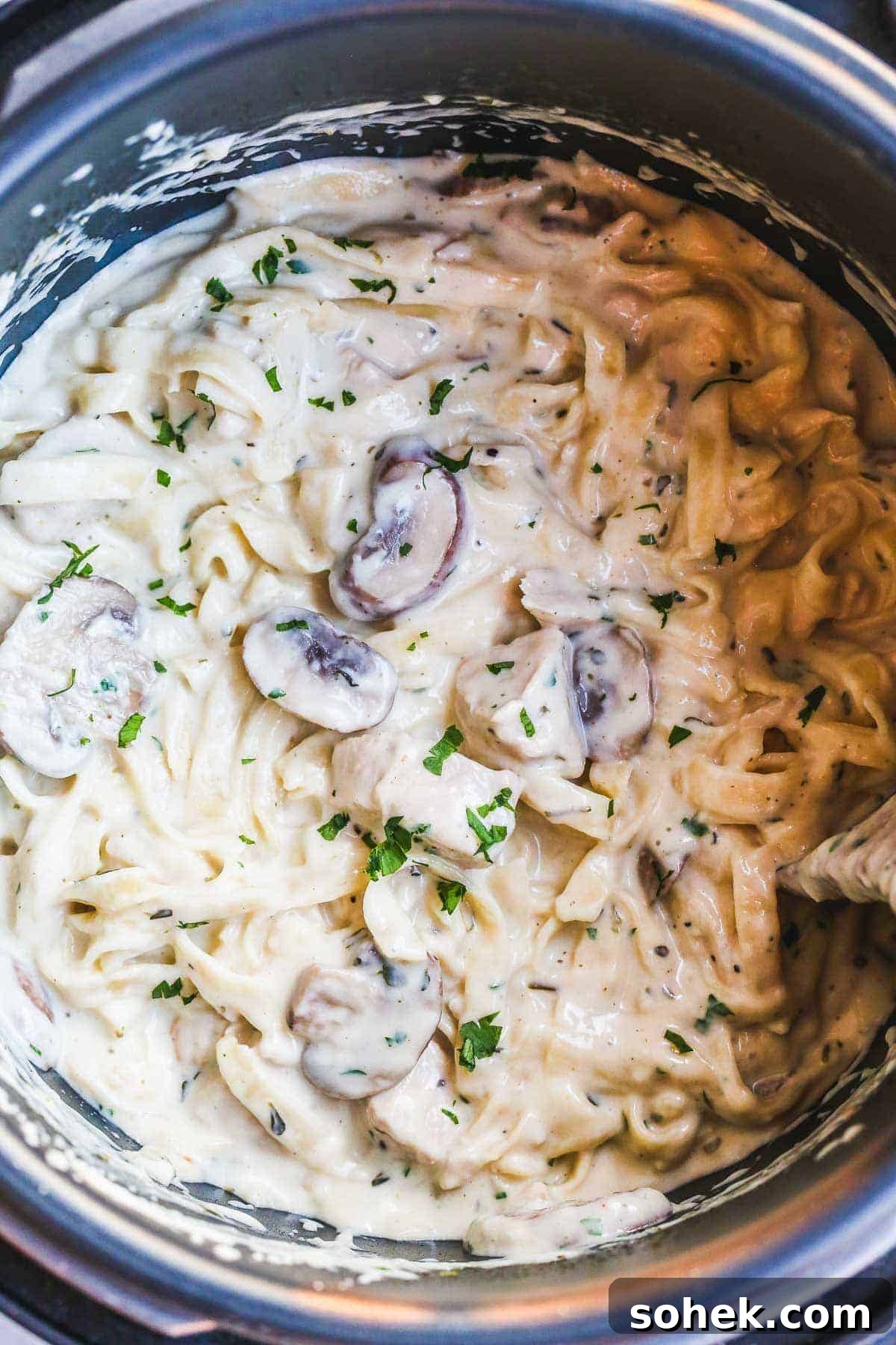 10 Flavorful Instant Pot Pasta Recipes for Quick Dinners 8 Easy one-pot Instant Pot chicken Alfredo pasta with mushrooms