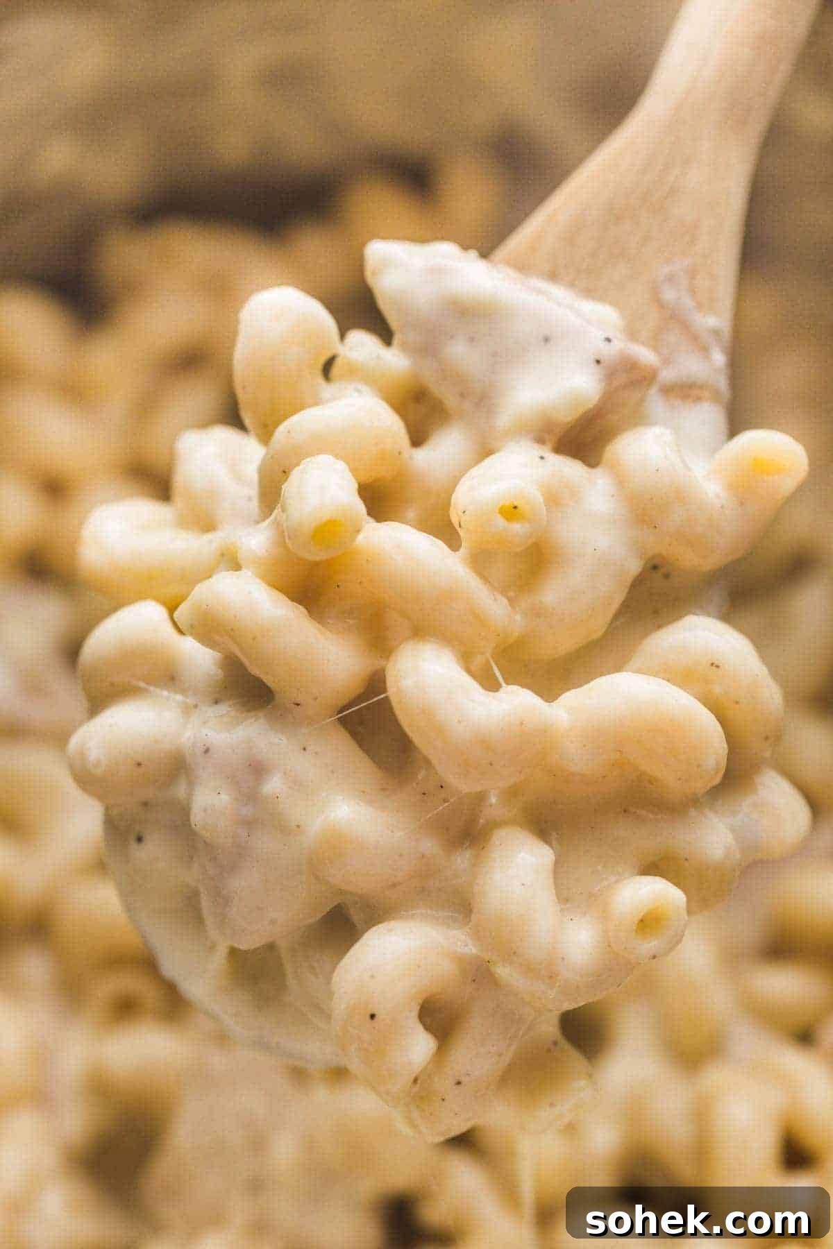 10 Flavorful Instant Pot Pasta Recipes for Quick Dinners 10 Chicken Mac and Cheese being served with a wooden spoon