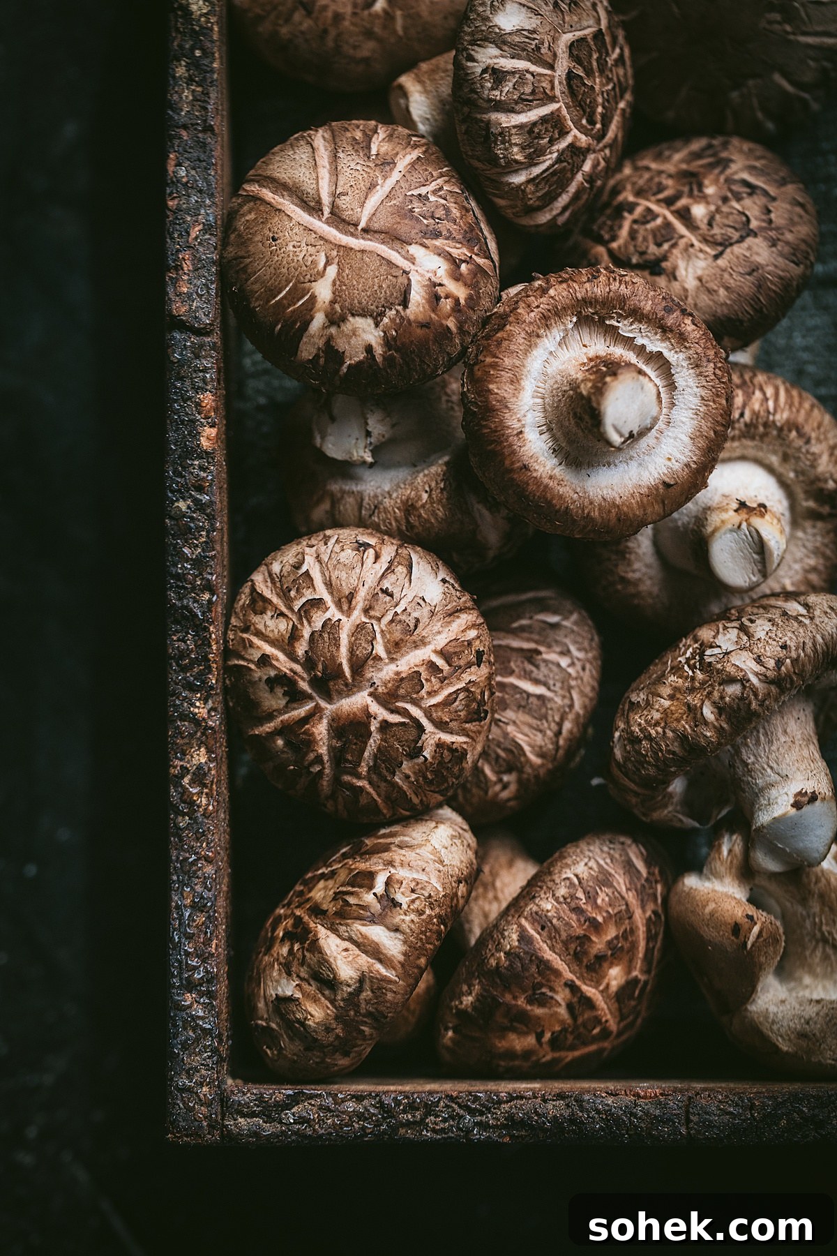 Creamy Kodava Mushroom Curry with Coconut Milk — Vegan Recipe 4 gorgeous baby portabellos with cracked tops in wooden vessel