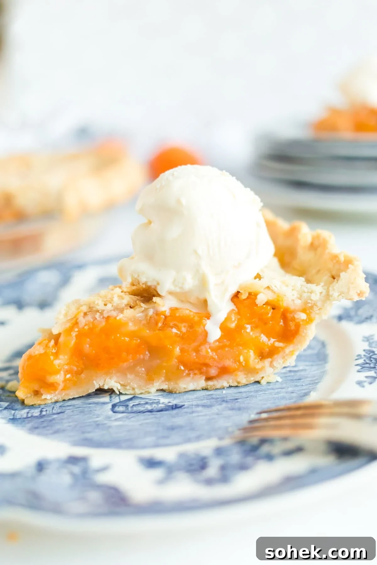 Slice of apricot pie topped with scoop of vanilla ice cream on a dessert plate.