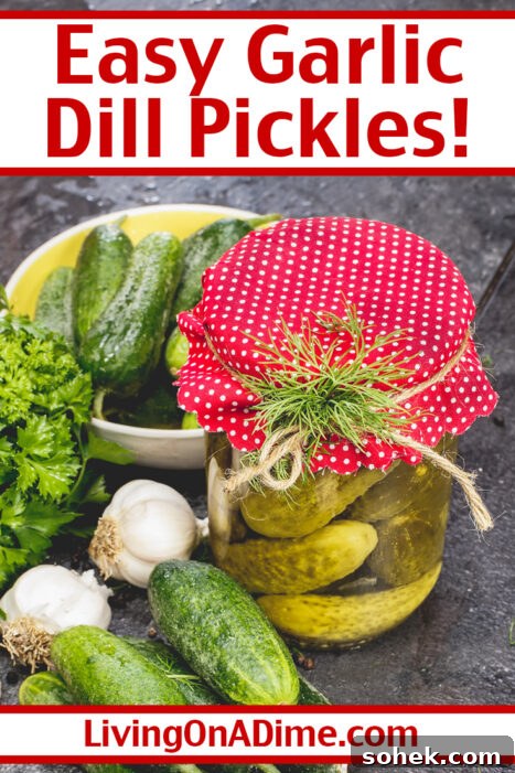 This easy homemade garlic pickles recipe is a tasty way to use garden produce. These homemade pickles are super yummy and anyone can make them!