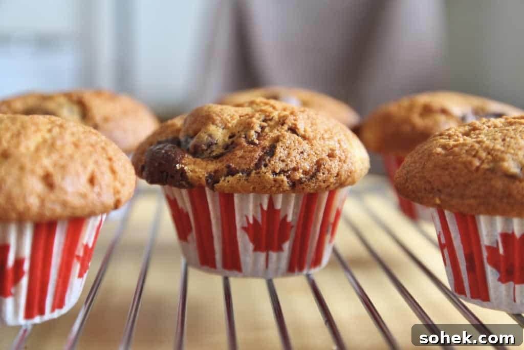 Moose Tracks Peanut Butter Cup Muffins Recipe 4 Moose Tracks Muffins (Peanut Butter Cup Muffins)