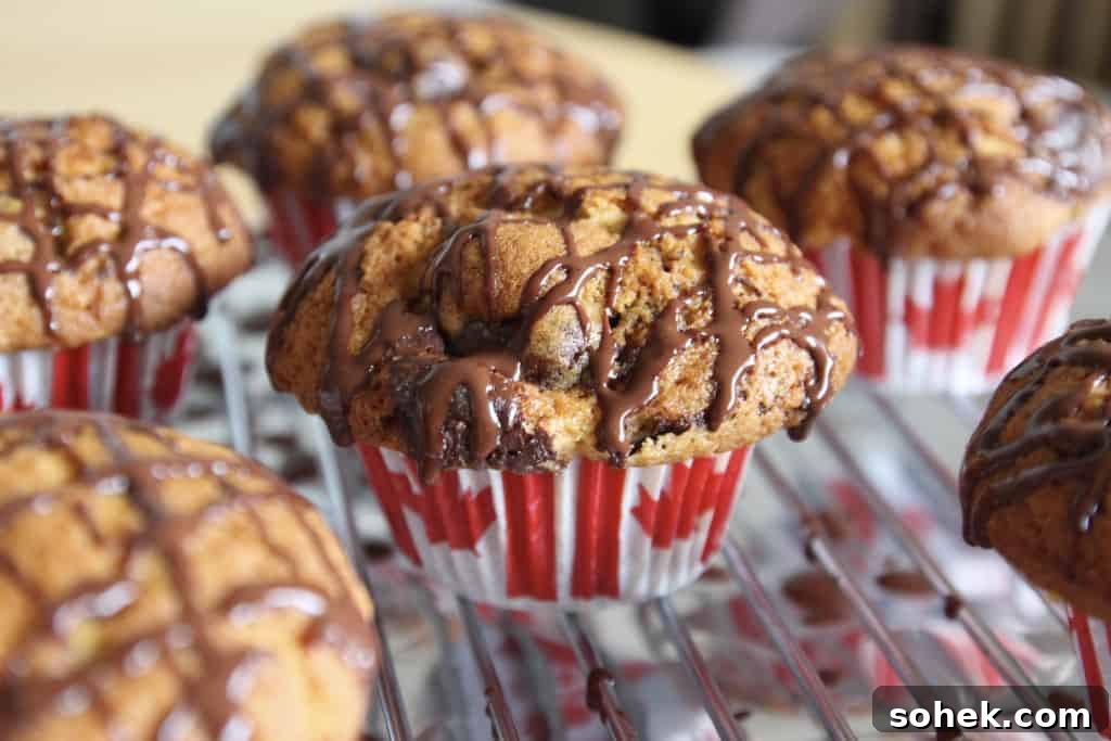 Moose Tracks Peanut Butter Cup Muffins Recipe 5 Moose Tracks Muffins (Peanut Butter Cup Muffins)