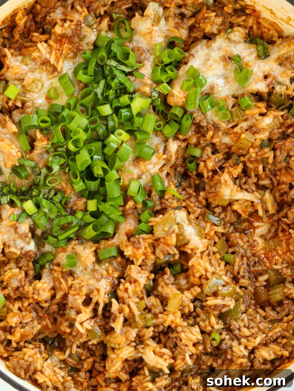 Close up of a Dirty Rice-inspired recipe - Cajun Beef with Rice