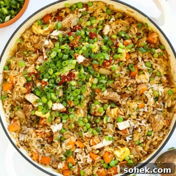 A large pan filled with cooked Chicken Fried Rice, ready to serve.