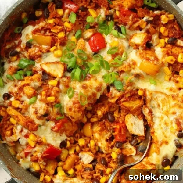 A round pan filled with chicken, rice, peppers, beans and topped with melted cheese for a Mexican chicken recipe.