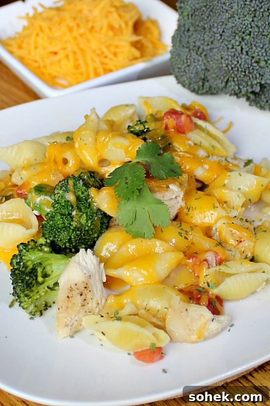 Cheesy Chicken Casserole recipe is easy to make with easy to find ingredients. Cheesy Chicken Casserole