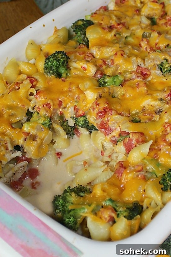 Cheesy Chicken Casserole has moist chicken, broccoli florets, smothered in a cheesy sauce. Cheesy Chicken Casserole