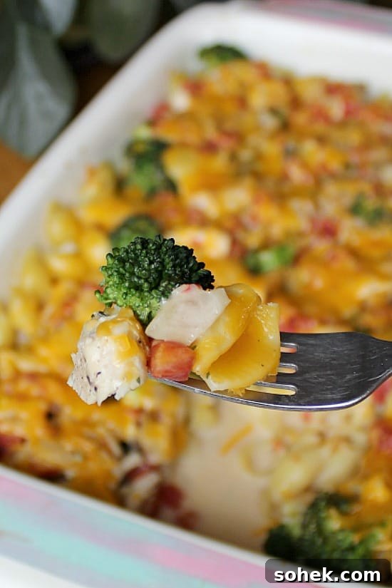 Cheesy Chicken Casserole recipe is a family favorite, quick and easy to make. A bite of broccoli, chicken and cheesy pasta.