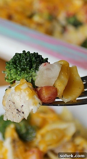 Delicious Cheesy Chicken Casserole: the queso brings a little zing to the table. Mmm! Cheesy Chicken Casserole