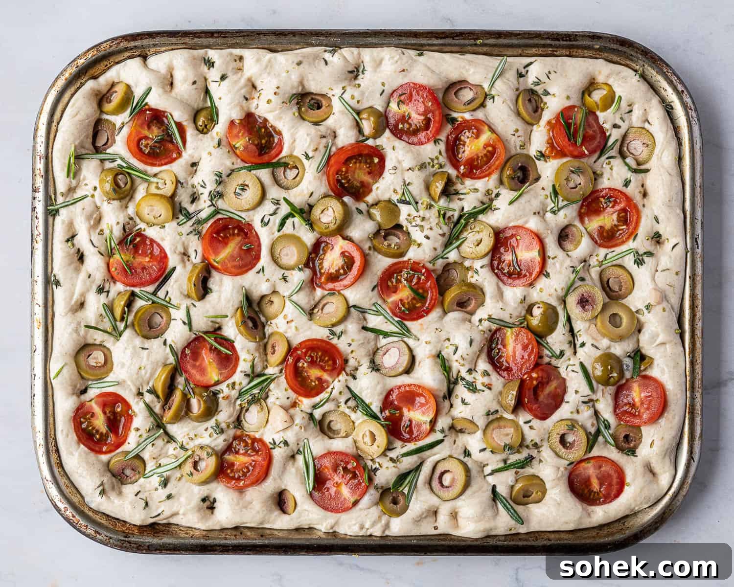 Tomato and Olive Focaccia Recipe with BBC Maestro Review 11 Step 7, the topped focaccia.