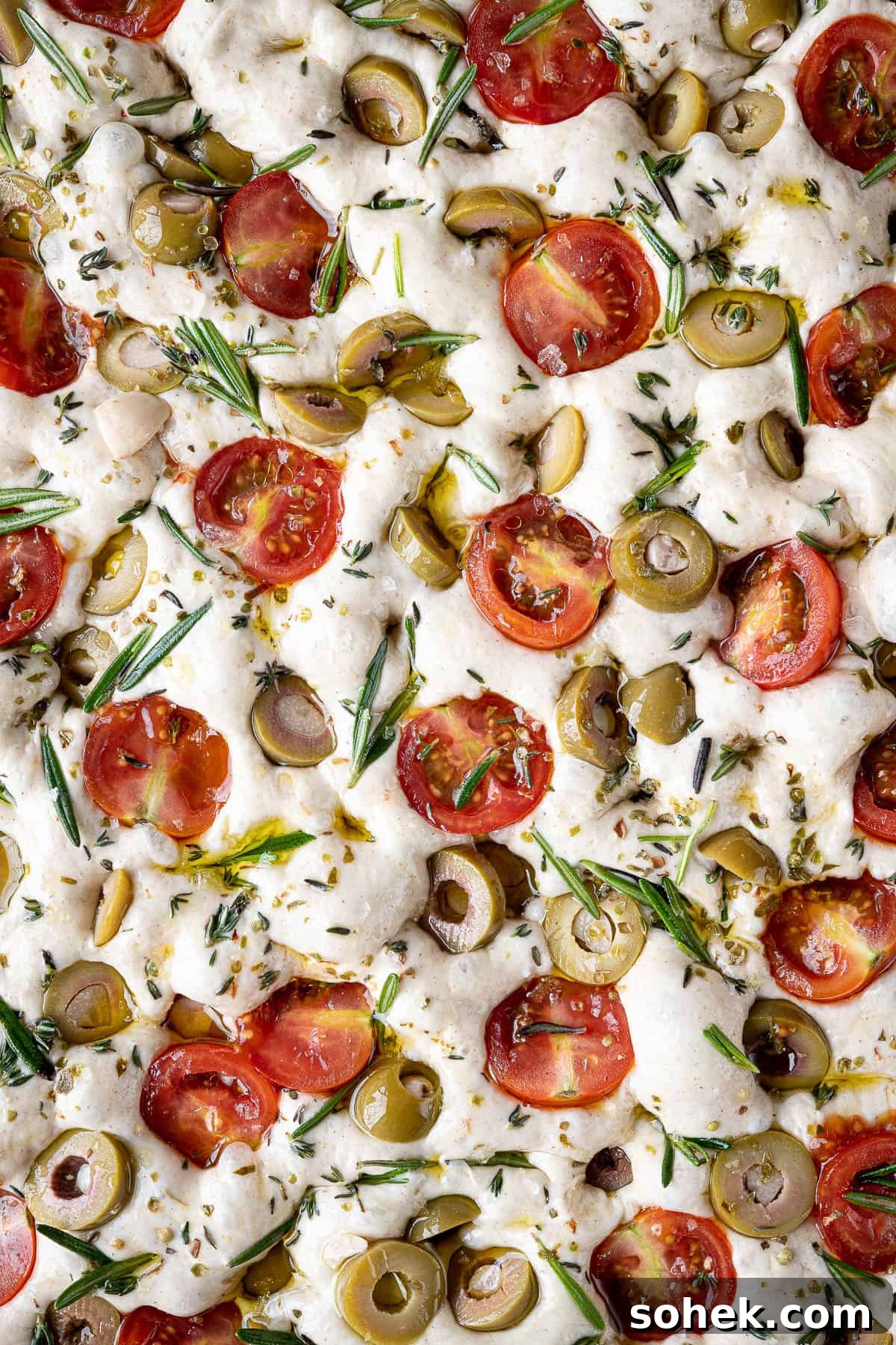 Tomato and Olive Focaccia Recipe with BBC Maestro Review 14 Close up of the unbaked focaccia.