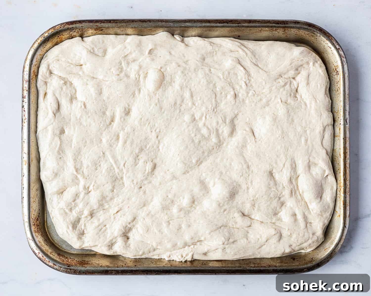 Tomato and Olive Focaccia Recipe with BBC Maestro Review 10 Step 6, the dough stretched out on a baking tray.