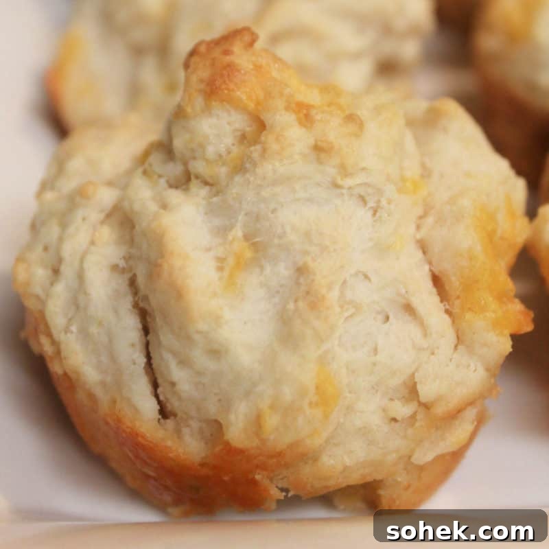 cheese muffin on a white plate